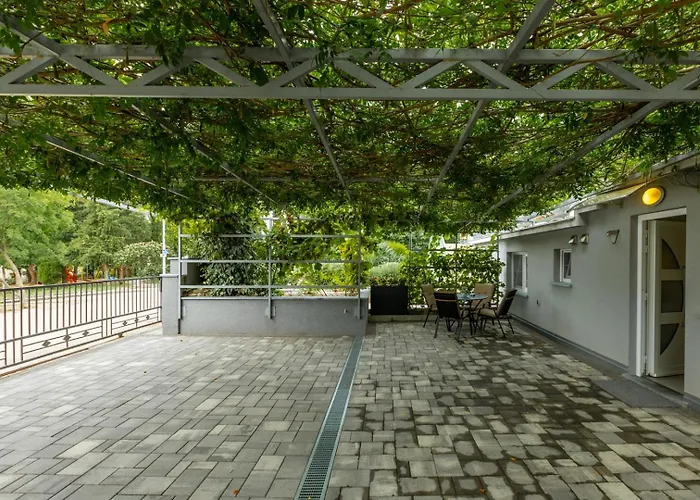 Pensiune Pivas Nr 3 3*